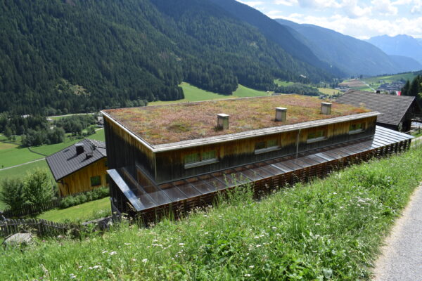 Rinfrescare la casa e tetto verde - geometra Andrea Mancuso